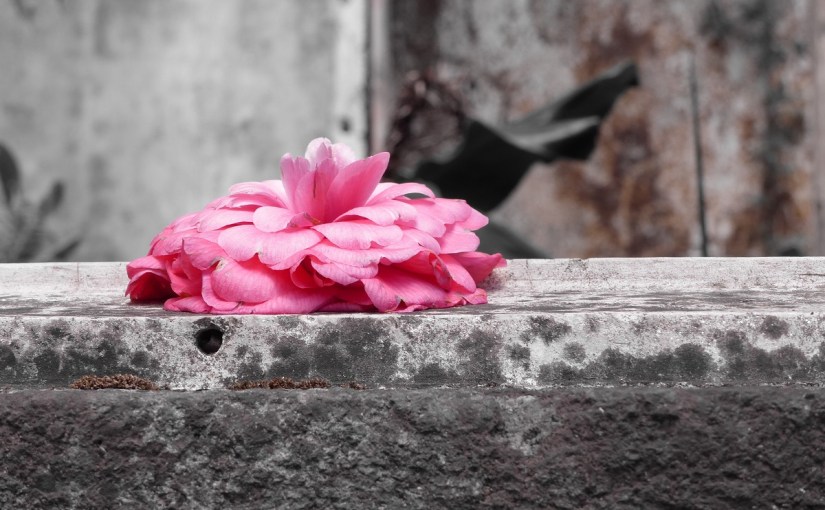 Verfallene Ruine /&nbsp;Azoren