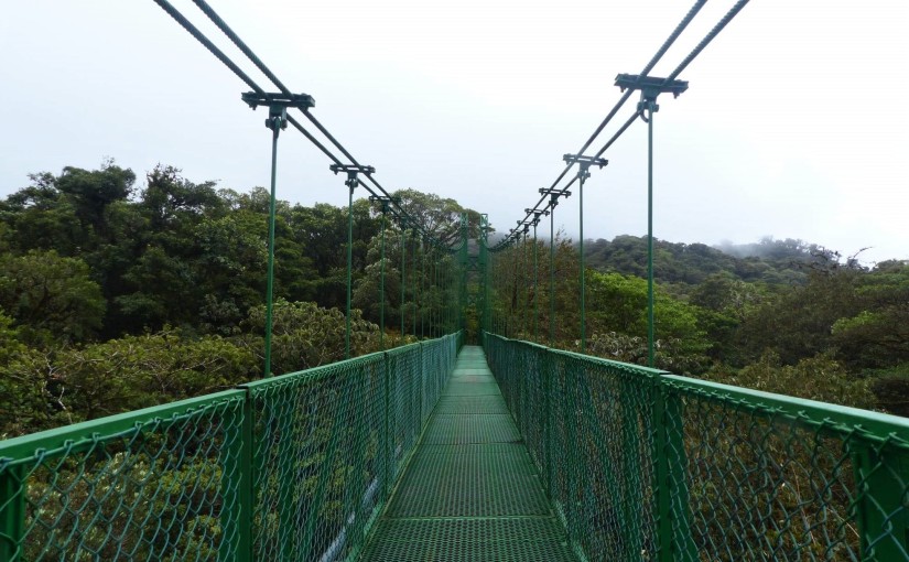 COSTA RICA // Monteverde – Nebelwälder, Hängebrücken und der magic Ficus